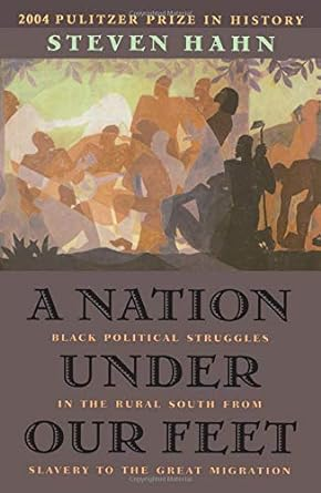 Capa do livro A Nation Under Our Feet: Black Political Struggles in the Rural South from Slavery to the Great Migration