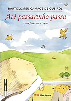 Capa do livro 