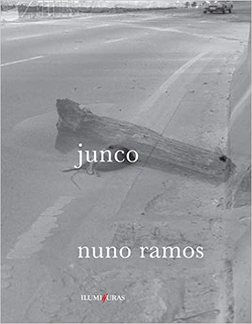 Capa do livro Junco