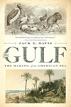 Capa do livro The Gulf: The Making of An American Sea