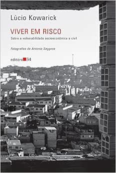 Capa do livro Viver em risco: Sobre a Vulnerabilidade Socioeconômica e Civil